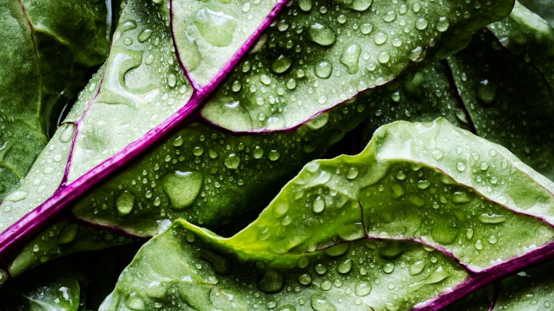 Vitamin-K-Mangel: Achten Sie auf diese 9 Symptome